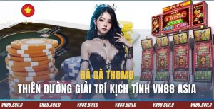 da ga thomo vn 88