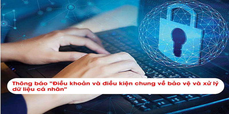 Điều khoản và điều kiện đầy đủ nhất tại nhà cái vn88